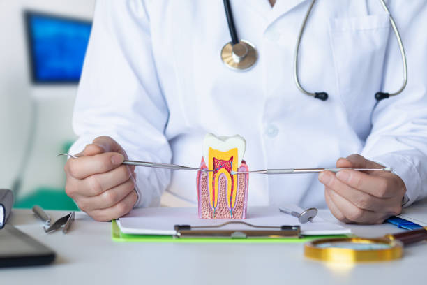 Best Broken Tooth Emergency  in Encantada Ranchito El Calaboz, TX